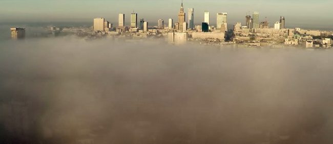 smog_rat_in_town_warszawawpigulce