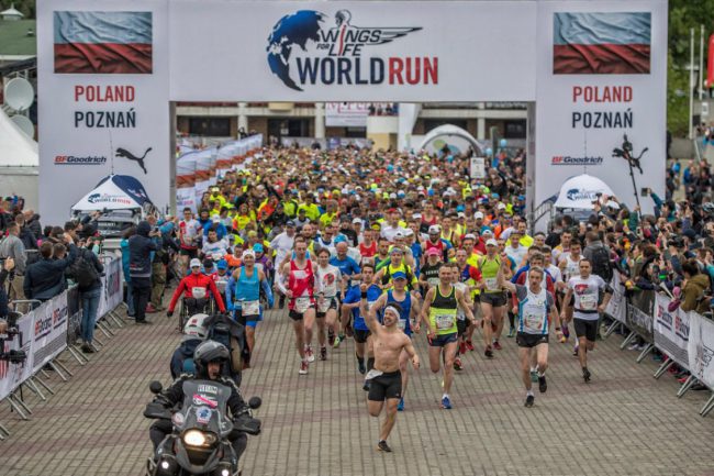 Wings_for_Life_World_Run_Poland_fot.Lukas_Nazdraczew_DSC3876_01_prog